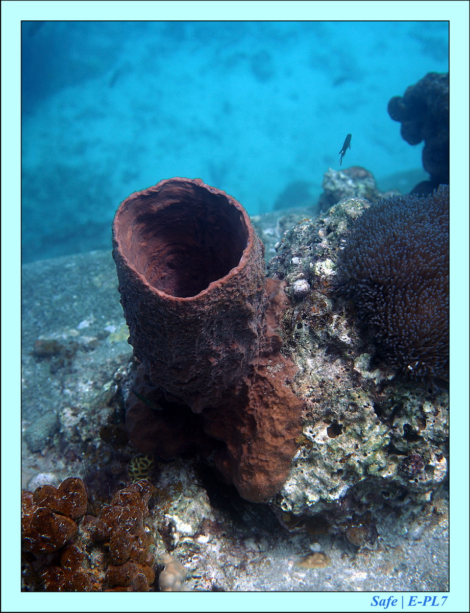 2016 - 07 - Leng Tengah - 068